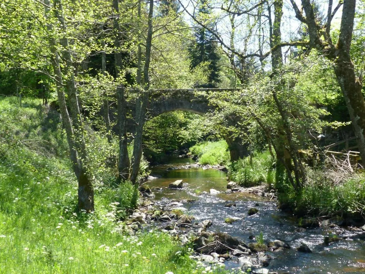 Gite Au Calme Avec Terrasse, Bbq, Ping-Pong, Rando/Vtt, Proche St-Bonnet-Le-Chateau, Wifi Gratuit - Fr-1-496-122 Apinac France