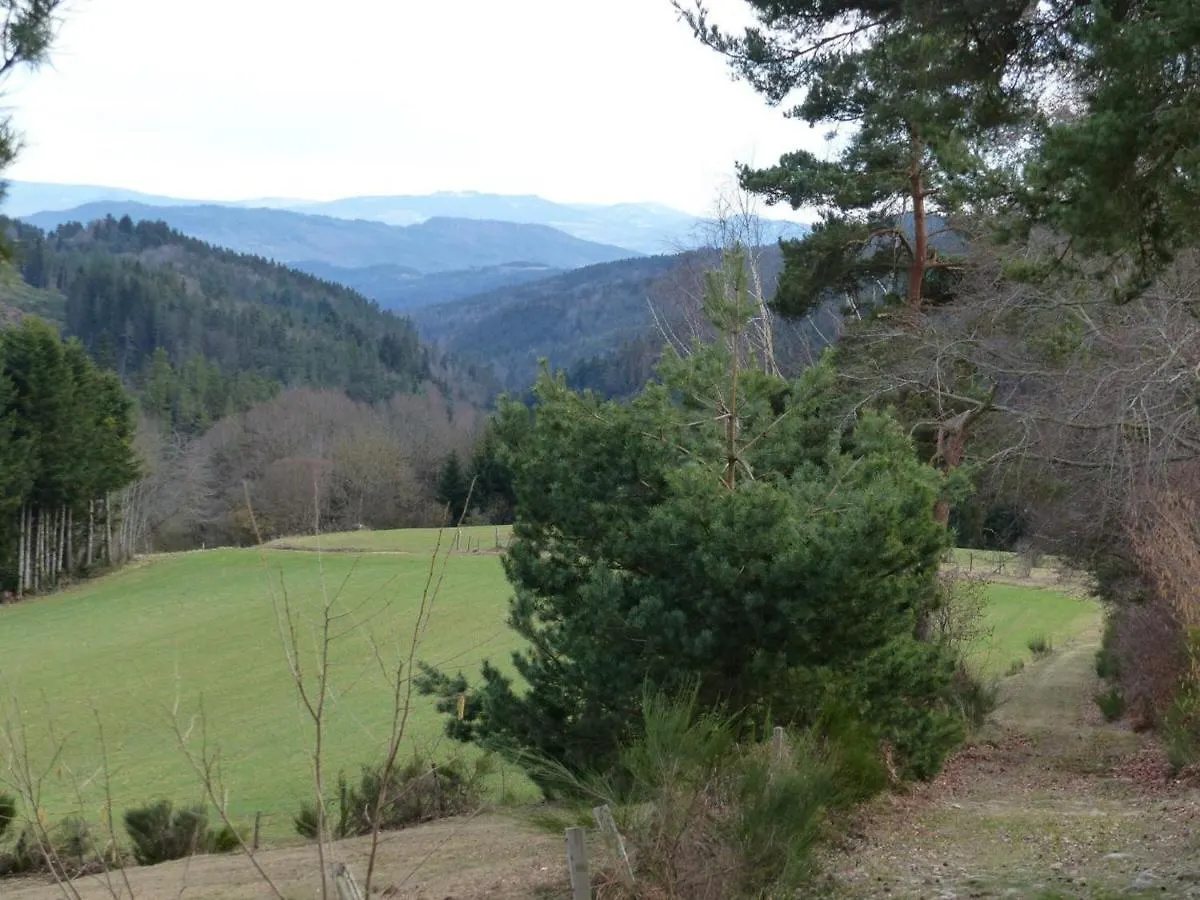 Gite Au Calme Avec Terrasse, Bbq, Ping-Pong, Rando/Vtt, Proche St-Bonnet-Le-Chateau, Wifi Gratuit - Fr-1-496-122 Apinac