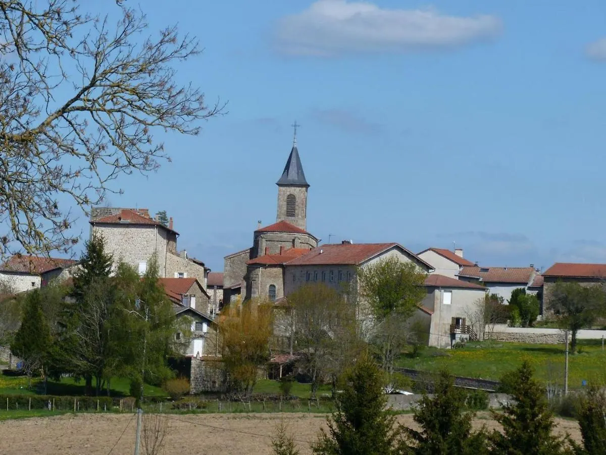 Gite Au Calme Avec Terrasse, Bbq, Ping-Pong, Rando/Vtt, Proche St-Bonnet-Le-Chateau, Wifi Gratuit - Fr-1-496-122 Apinac 0*,  France